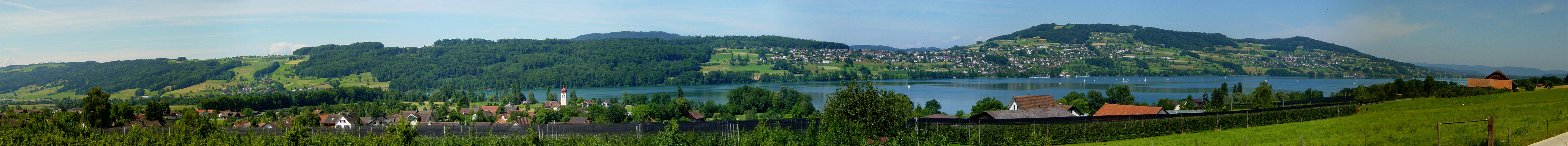 Aesch am Hallwilersee