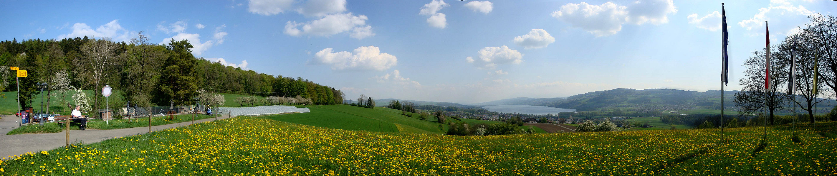 Eichberg Seengen im Frühling