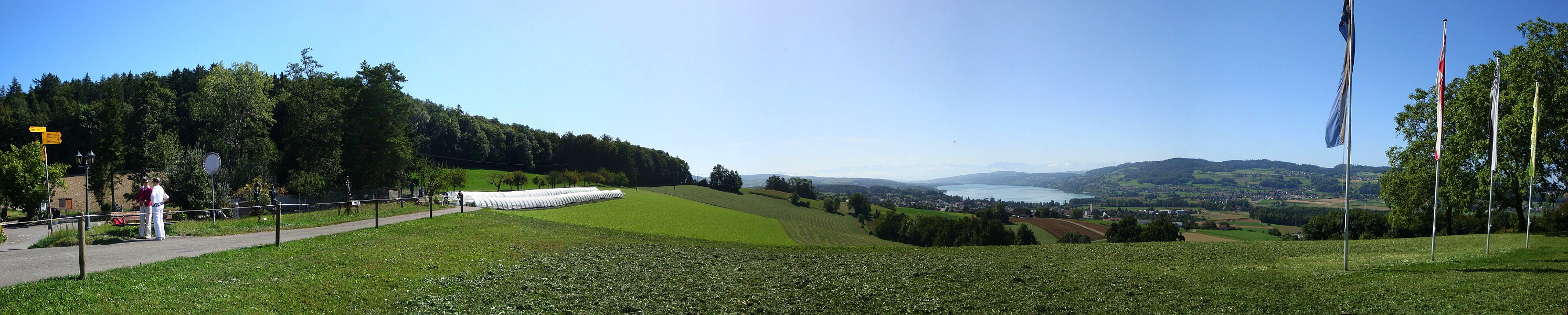 Eichberg Seengen im Sommer