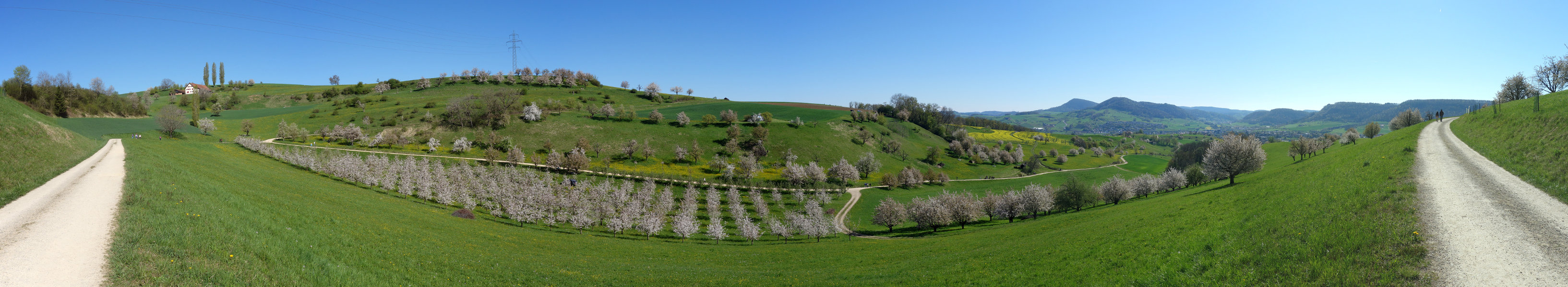 Chriesiwäg Gipf-Oberfrick