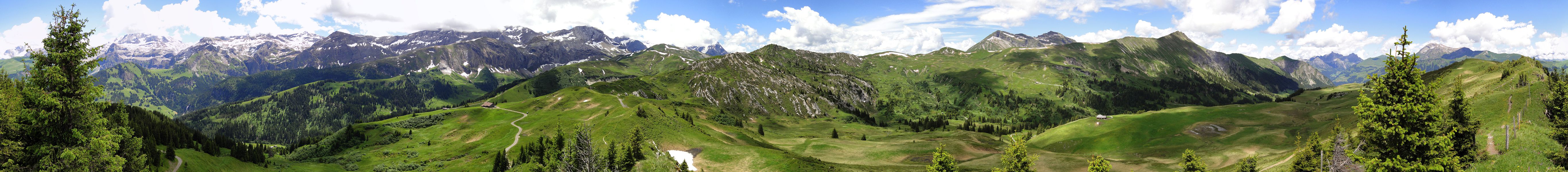 Hinter dem Leiterli Lenk