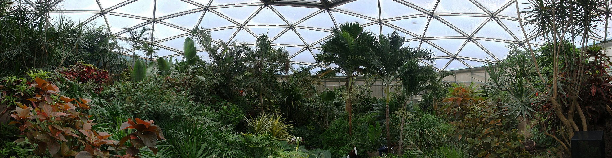 Papiliorama Kerzers