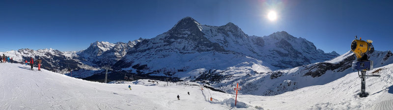 Honegg Grindelwald