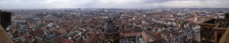 Münster in Strasbourg