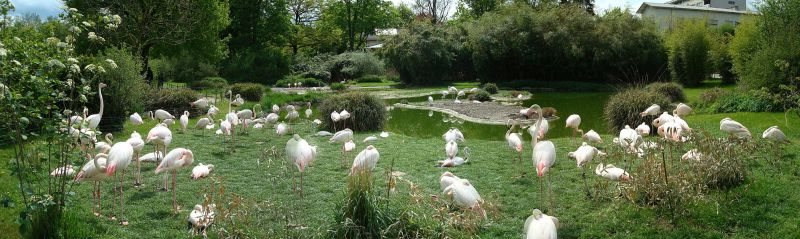 Zoo Basel